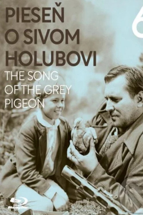 A Song About the Gray Pigeon poster
