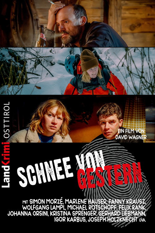 Schnee von gestern poster