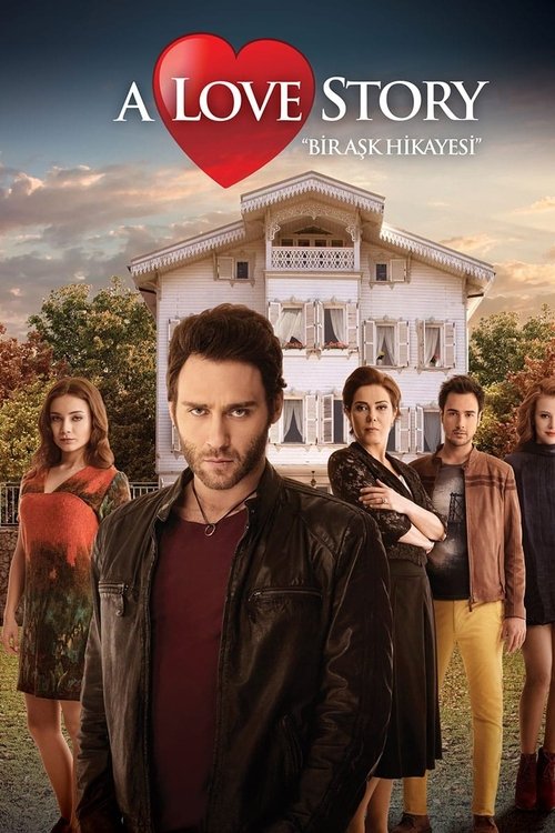 Bir Aşk Hikayesi poster
