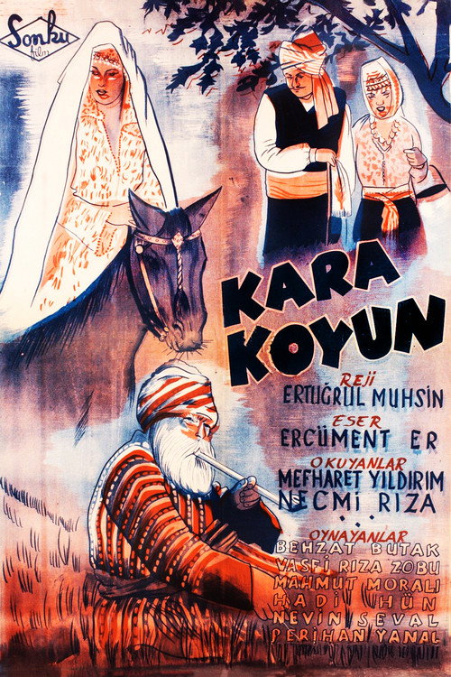 Kızılırmak poster