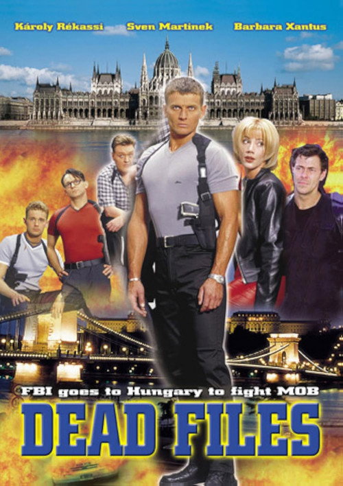 Rendőrsztori poster