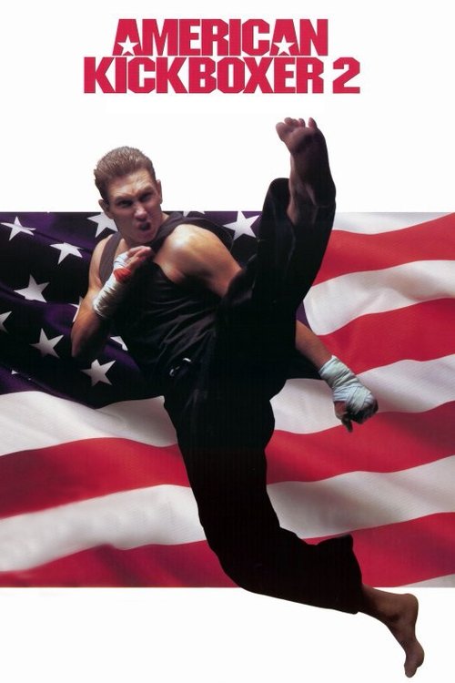 American kickboxer 2 poster