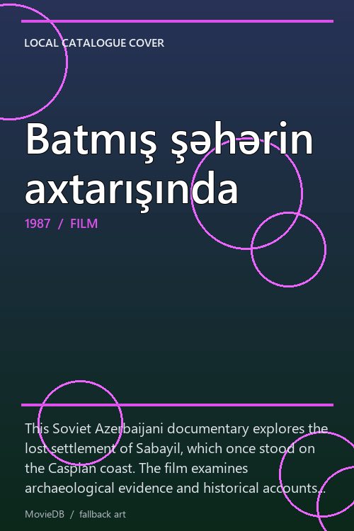 Batmış şəhərin axtarışında poster