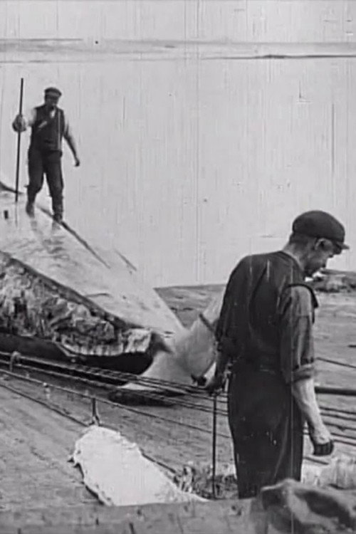 Whaling Afloat and Ashore poster