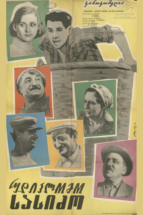 Son-in-law without Diploma poster