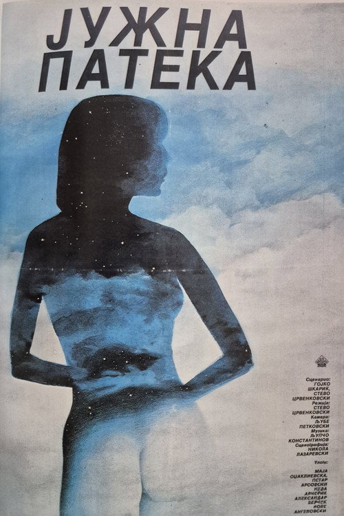 Južna pateka poster