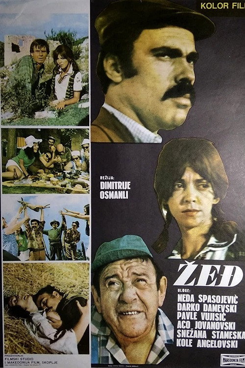 Žed poster