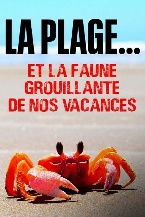 The Beach: Wildlife Around the Parasol poster