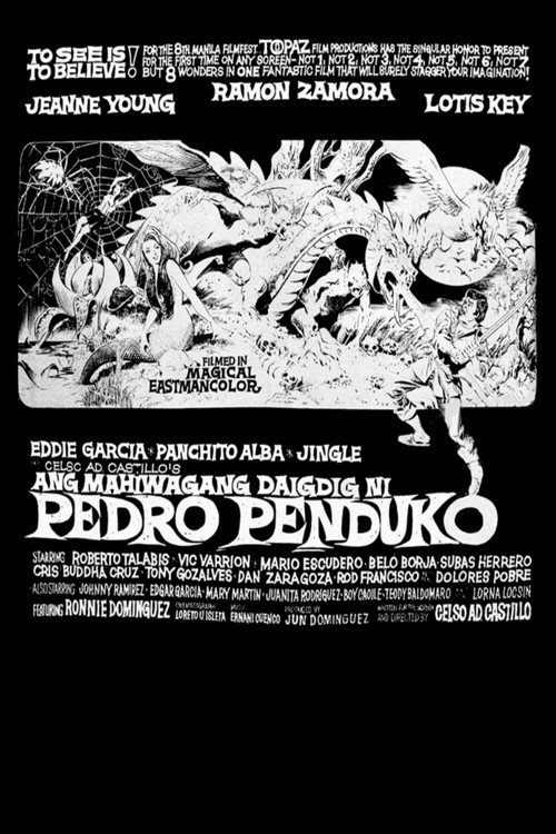 Ang mahiwagang daigdig ni Pedro Penduko poster