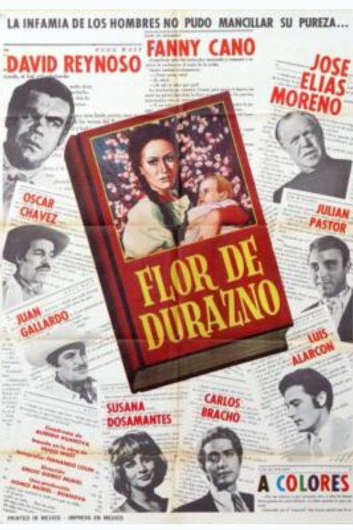 Flor de durazno poster
