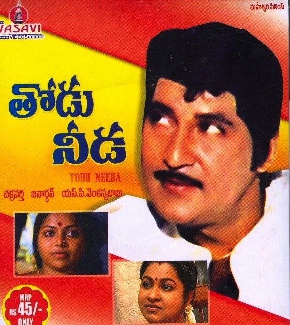 తోడు నీడ poster