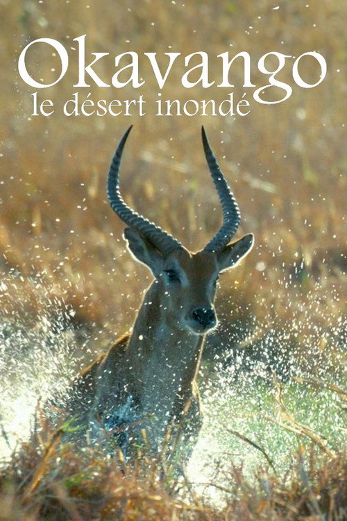 The Flooded Desert poster