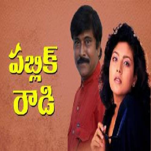 పబ్లిక్ రౌడీ poster