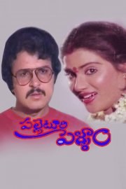 పల్లెటూరి పెళ్ళాం poster