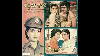 భార్యాభర్తల సవాల్ poster