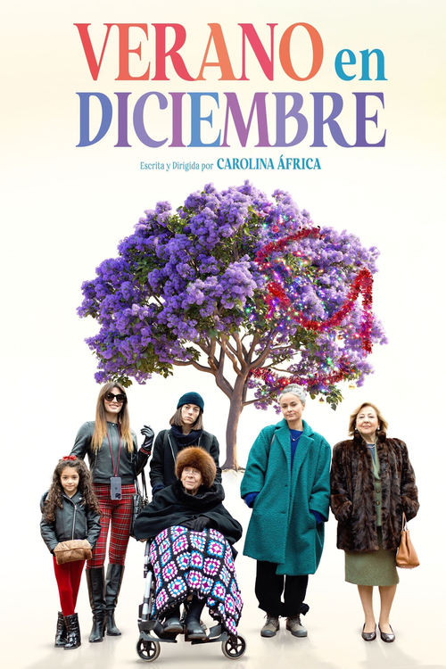 Verano en diciembre poster
