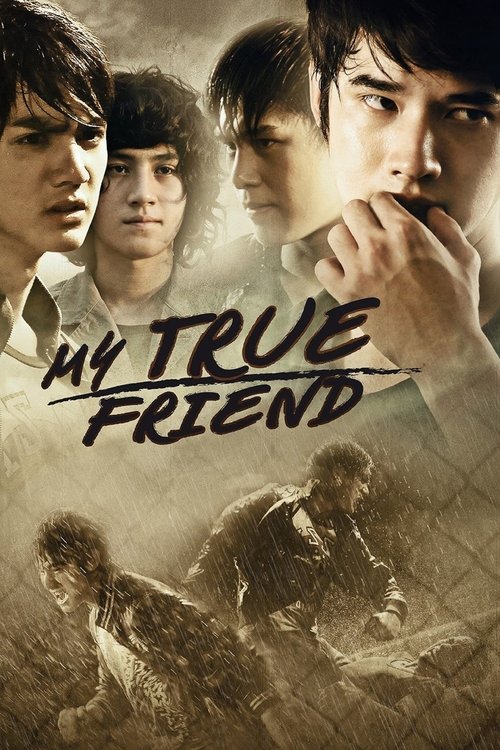 Friends Never Die poster