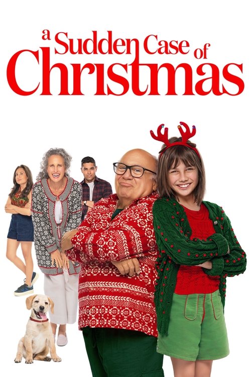 A Sudden Case of Christmas poster