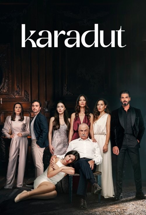 Karadut poster