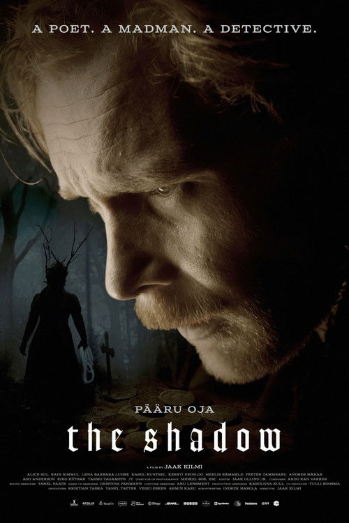 Shadow poster