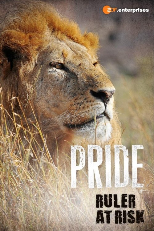 Pride: Ruler's at Risk poster