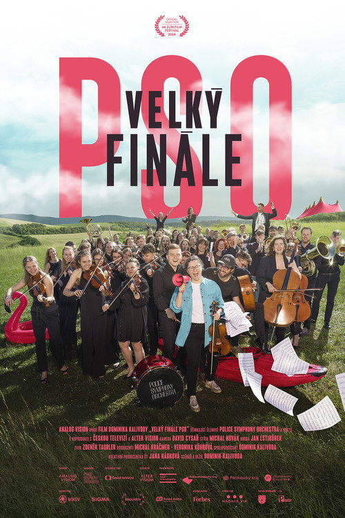 The Grand Finale of PSO poster