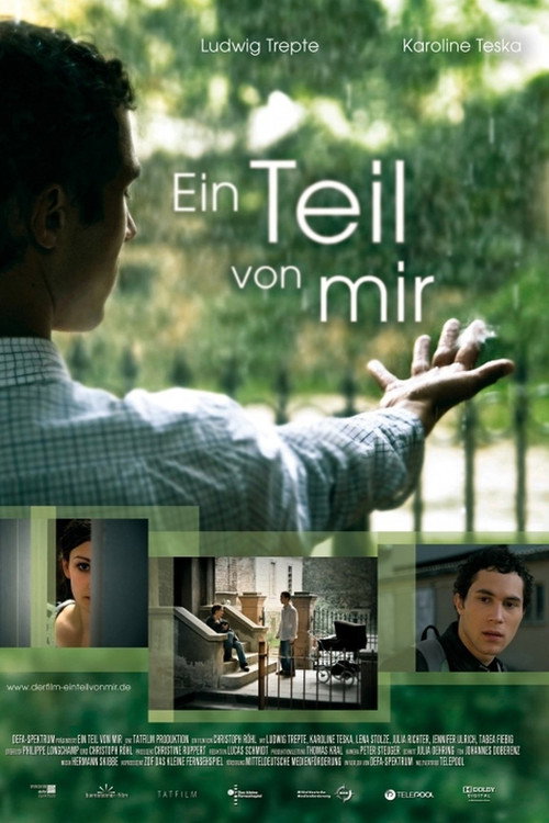 A Piece of Me poster
