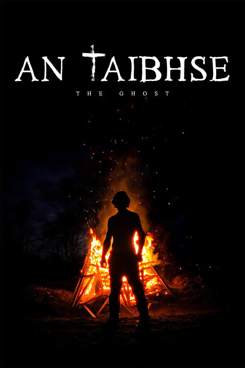 An Taibhse poster