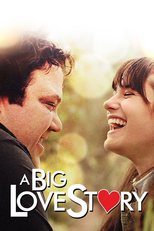 A Big Love Story poster