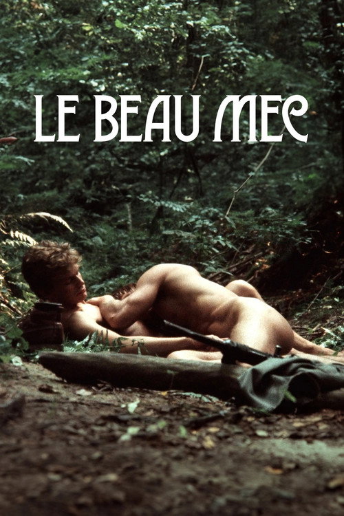 Le Beau Mec poster