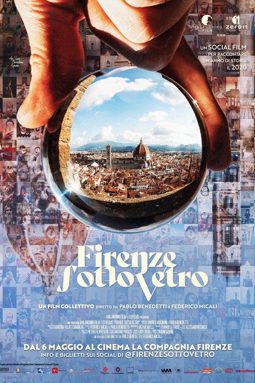 Florence in a Glass Ball poster
