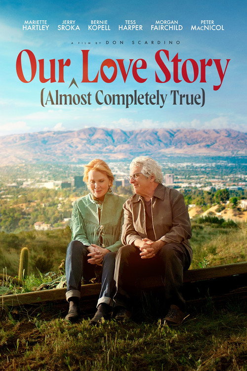 Our Love Story poster