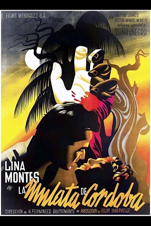 The Mulatta of Cordoba poster
