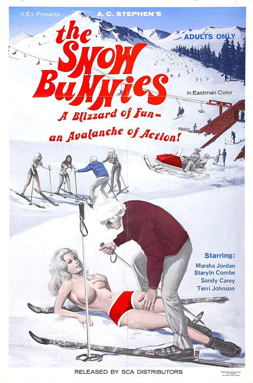 The Snow Bunnies poster