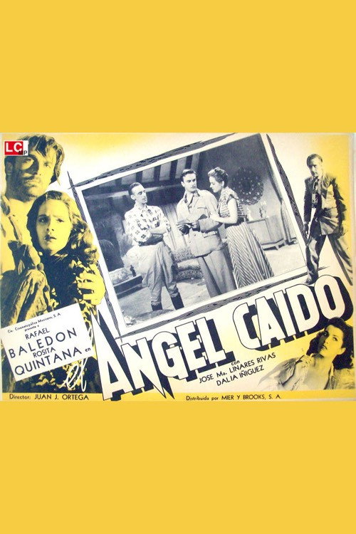 The Fallen Angel poster