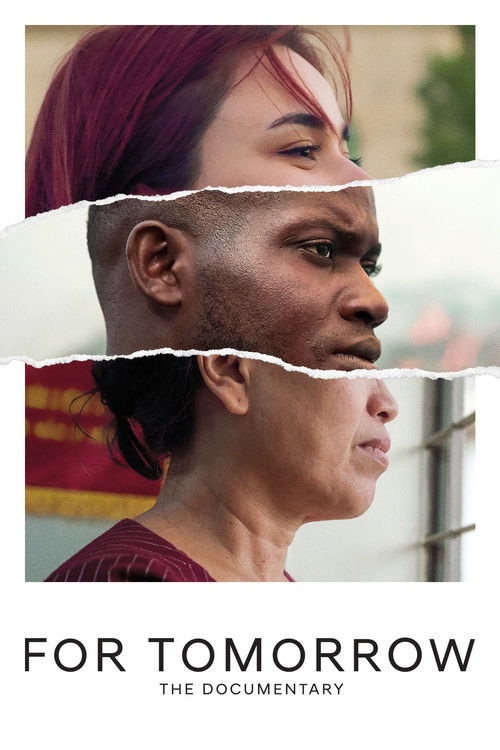 For Tomorrow - A Documentary on Grassroots Innovators poster
