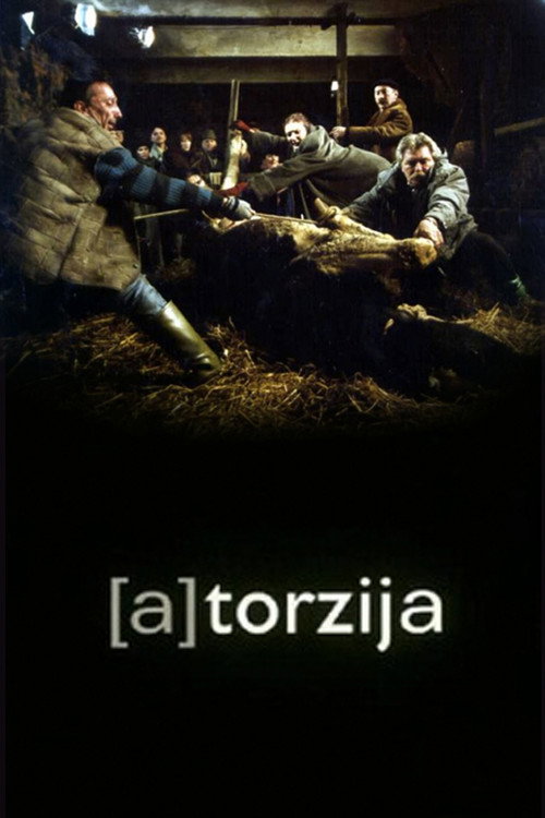 (A) Torsion poster