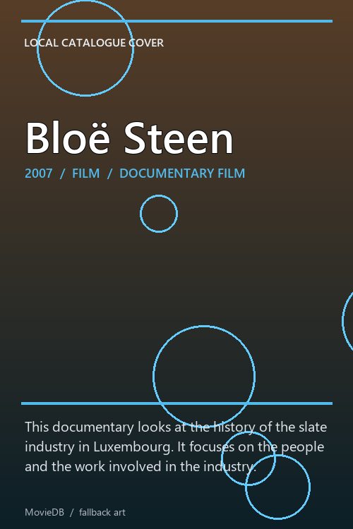 Bloë Steen poster