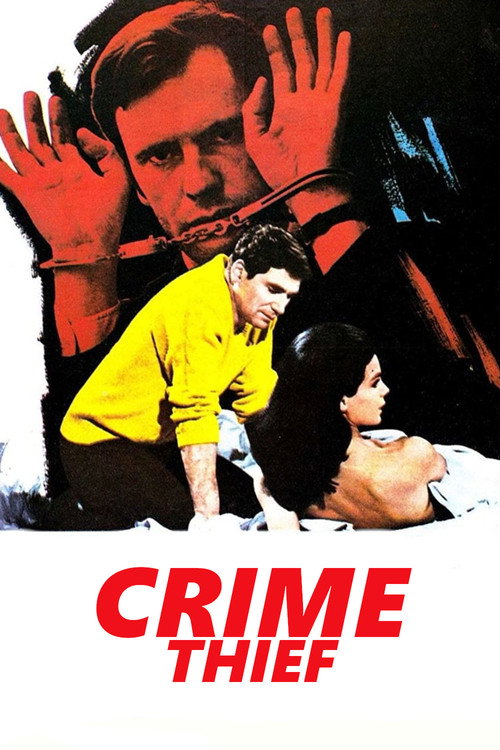 Le voleur de crimes poster