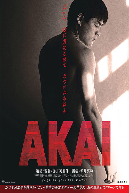 AKAI poster