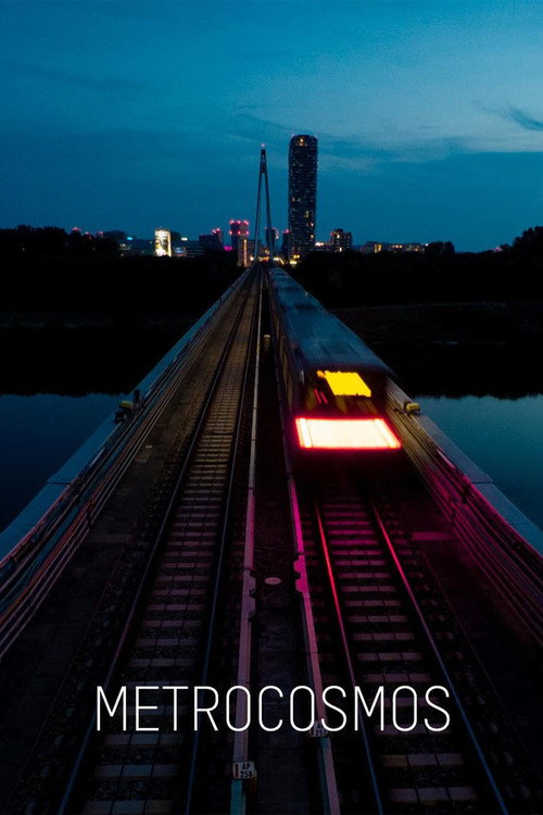 Metrocosmos poster