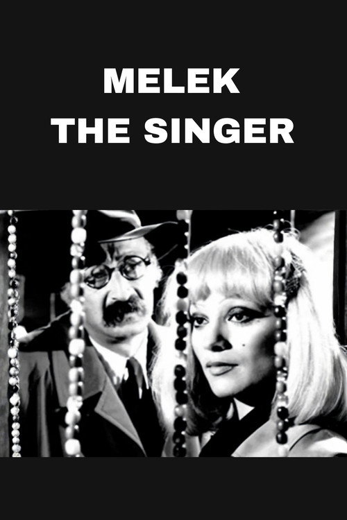 Melek The Singer poster