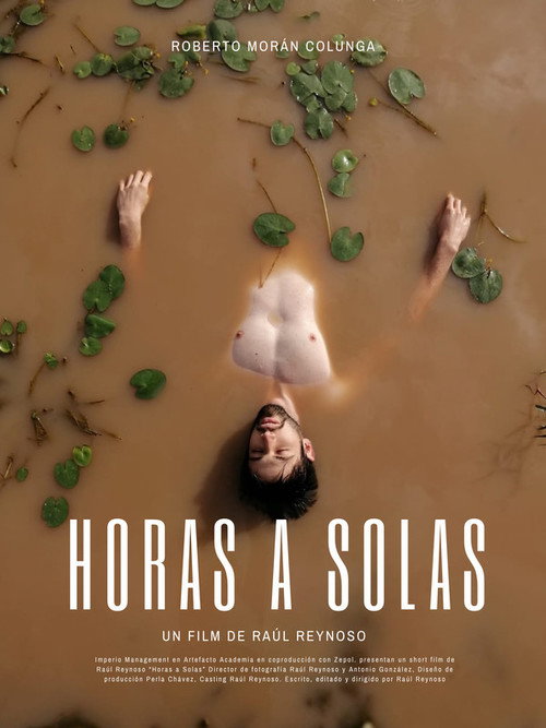 Hours Alone poster