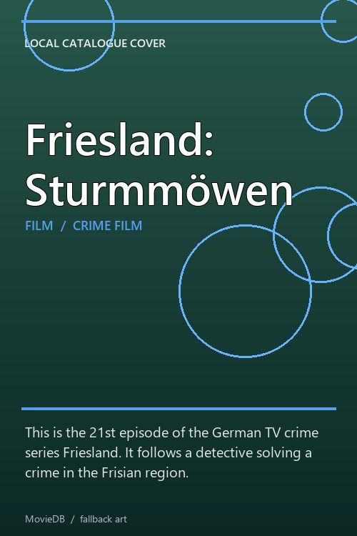 Friesland: Sturmmöwen poster