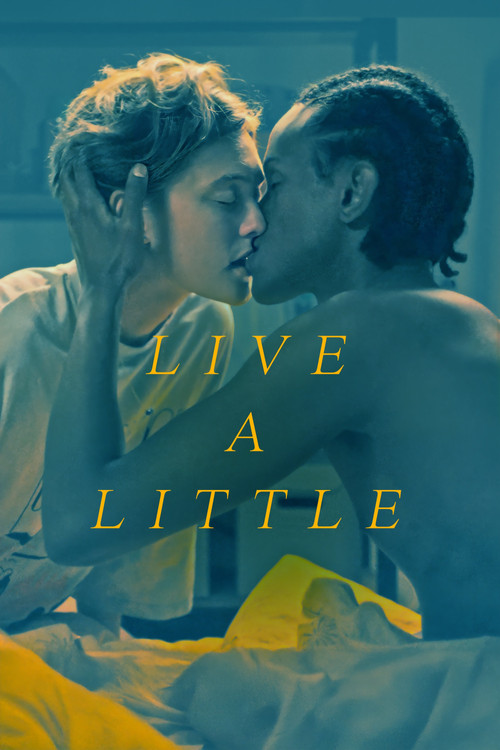 Leva lite poster