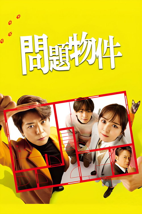 Problem Property poster