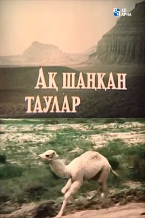 Там, де гори білі poster
