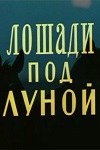 Коні під місяцем poster