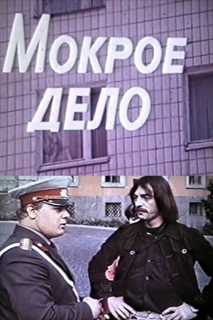 Мокра справа poster