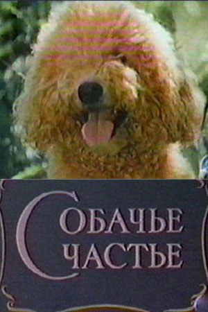 Собаче щастя poster